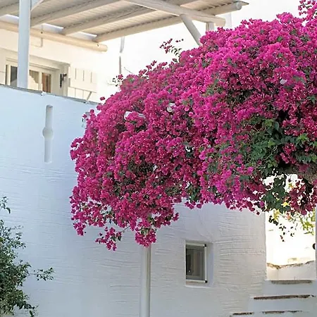 Ostria Szálloda Naxos City